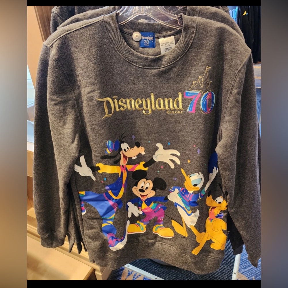 Disneyland 70th Anniversary Mickey And Friends Pullover Crewneck Sweatshirt nwot
